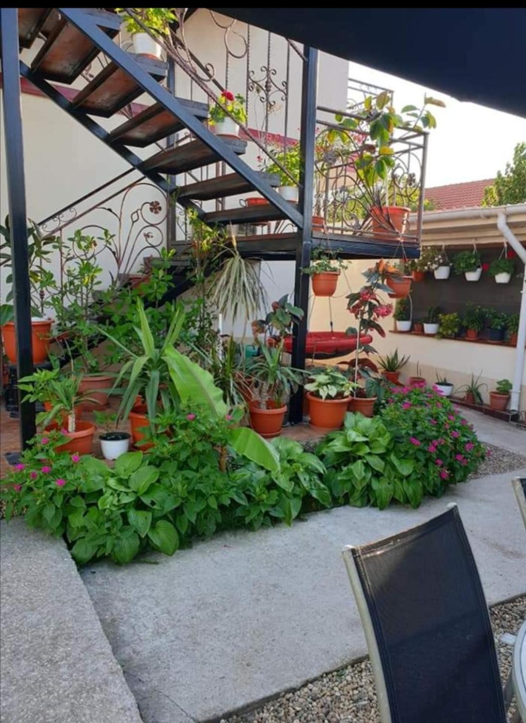 Hotel Vila Robert Schitu Esterno foto
