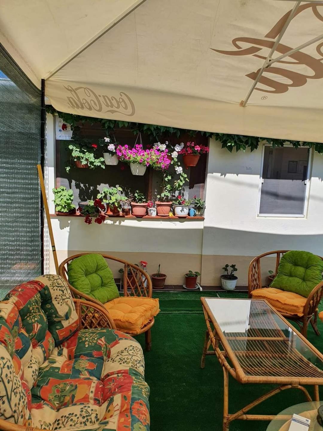 Hotel Vila Robert Schitu Esterno foto