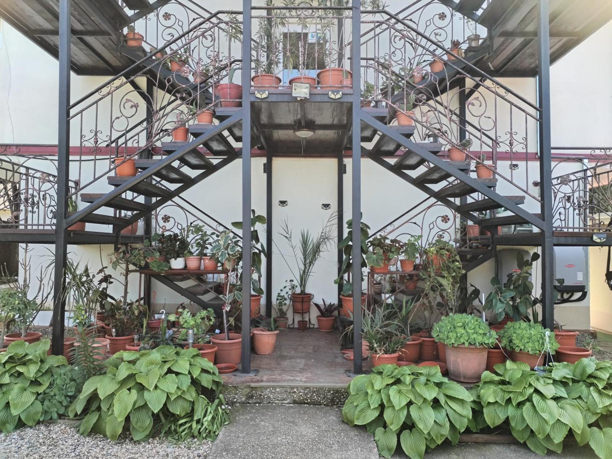 Hotel Vila Robert Schitu Esterno foto